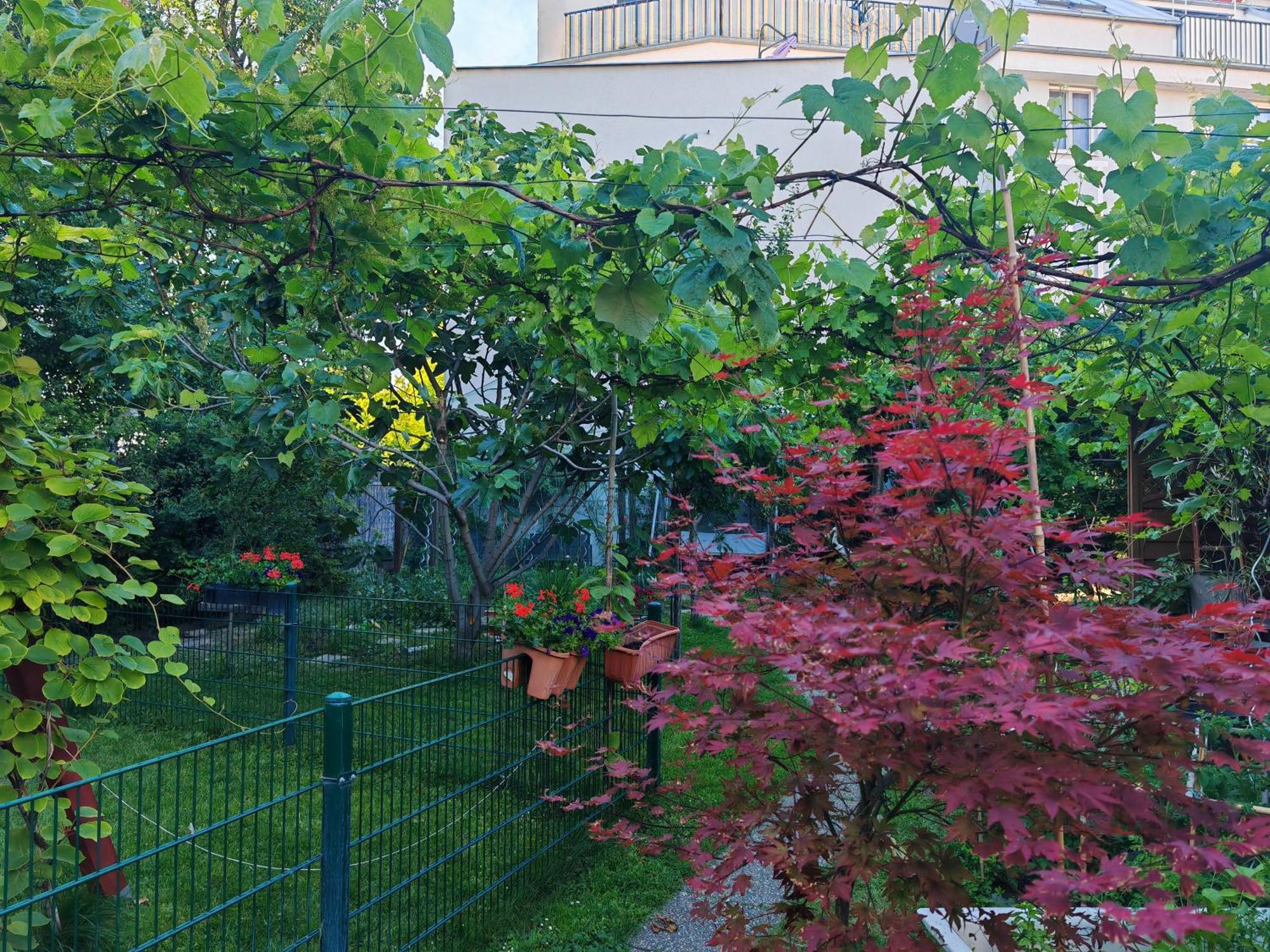 Leopoldauer Apartment เวียนนา ภายนอก รูปภาพ