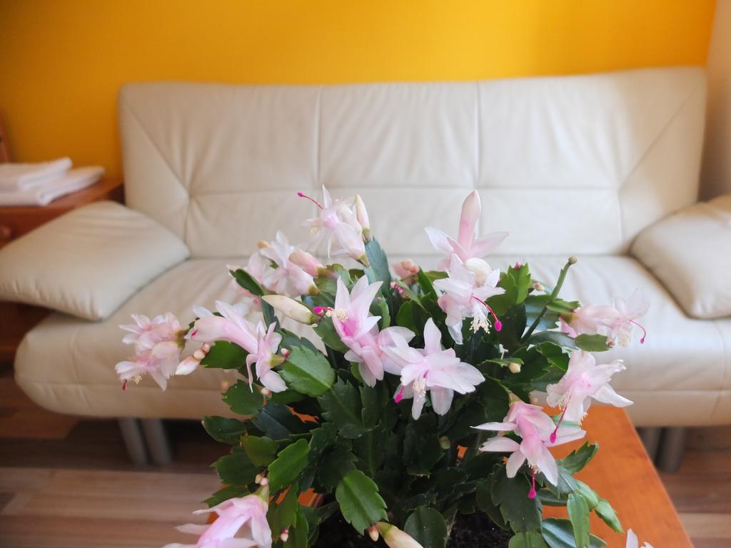 Leopoldauer Apartment เวียนนา ภายนอก รูปภาพ